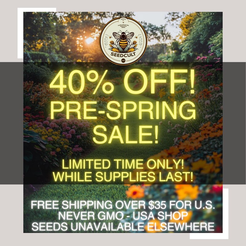 Coupon Code Free Shipping Etsy