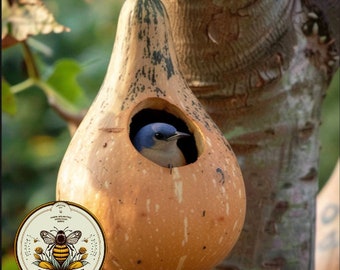 Extra Large Birdhouse Gourd Seeds, Lagenaria siceraria LS0110