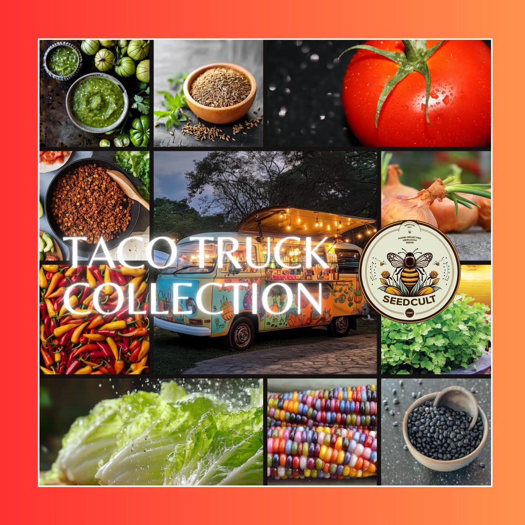 Taco Truck Seed Collection in Gift Box, Taco Toppings, Sampler, 13 ...