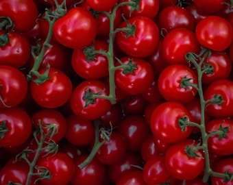 200 Bulk Large Red Cherry Tomato Seeds, Non-GMO Heirloom, Solanum Lycopersicum LY072C
