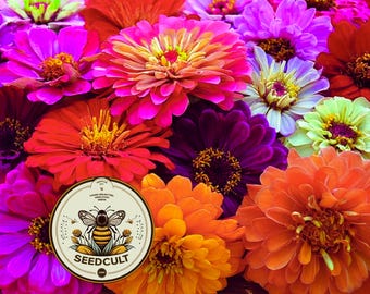 NEW! California Giant Zinnia Seeds, Rainbow Color Mix, Zinnia Elegans ZE021C