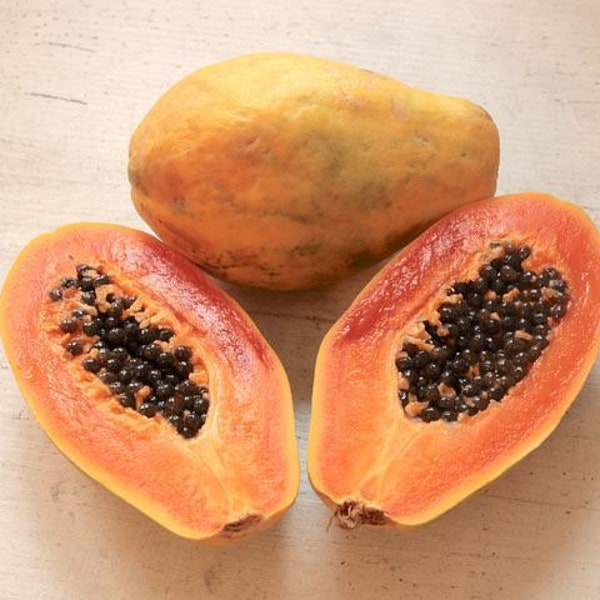 10 Hawaiian Papaya Seeds, Carica Papaya CA5110