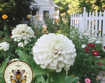 Benarys Giant White Zinnia Seeds, Largest Giant Zinnias, Zinnia Elegans ZE2325