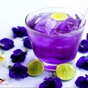 May include: A glass of vibrant purple drink with ice and a lime slice, surrounded by blue flowers and lime wedges. The drink has a refreshing appearance, suggesting a cool beverage.