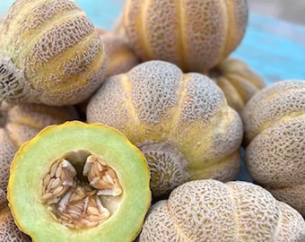 Puede incluir: Primer plano de un grupo de melones cantalupo. Los melones son de color amarillo pálido con una piel rugosa y texturizada. Un melón está cortado por la mitad, revelando la pulpa verde y las semillas.