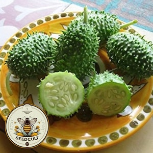 May include: A plate of green spiky fruits, some cut in half, revealing white seeds. The plate has a yellow and white pattern. A sticker with a bee and the text "SEEDCULT" is in the lower left corner.