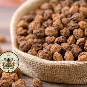 May include: A close-up of tiger nuts spilling from a burlap sack. The nuts are brown and textured, with a few scattered on a wooden surface. A circular logo with a bee and the text "SEEDCULT" is visible.