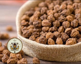 NEW! Tiger Nuts, Tiger Nut (Tubers) Seeds, Chufa, Food Forest, Cyperus Esculentus, CY3120