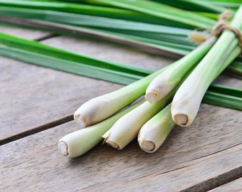 Organic Culinary Lemongrass Seeds, West Indian, Lemon grass, Medicinal Plants, Cymbopogon citratus CY0120