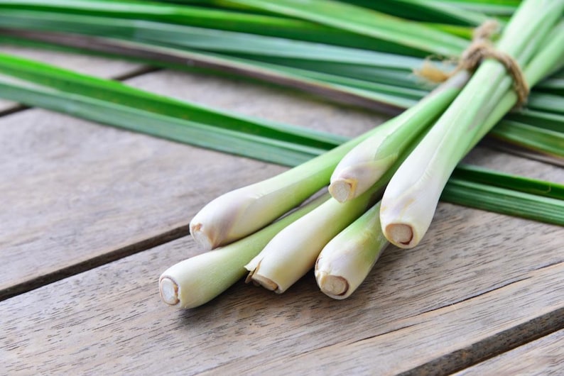 May include: A bundle of fresh lemongrass stalks tied with twine, with long green leaves. The stalks are pale green and white, and the leaves are a vibrant green. The arrangement is on a weathered wooden surface.