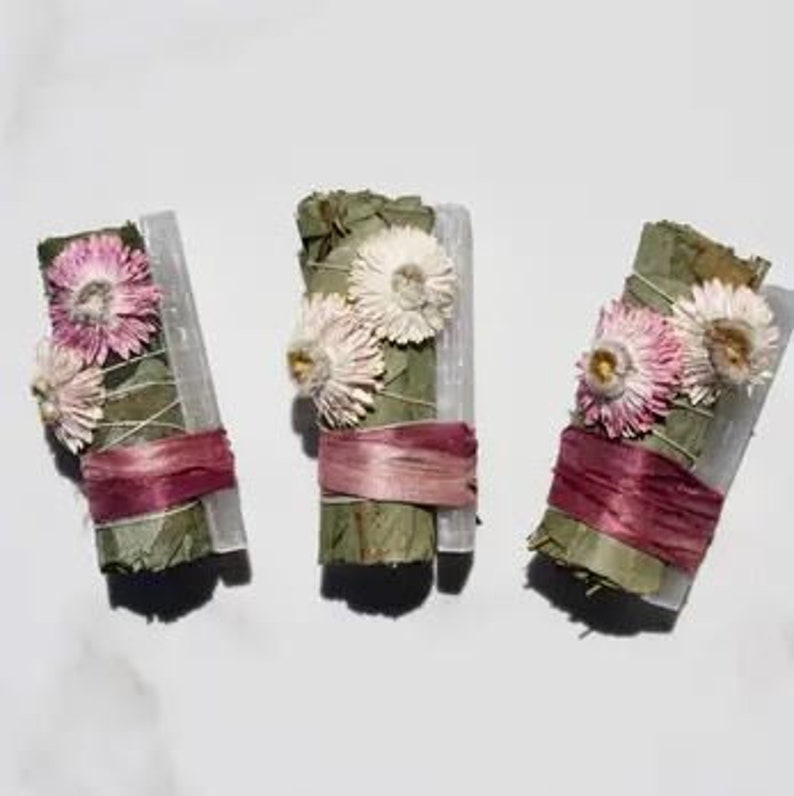 500 Paper Daisy Seeds, Pink Shades, Everlasting Flowers RH015C image 5