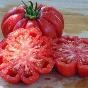 Mushroom Basket Tomato Seeds, Heirloom, Non-GMO, Solanum Lycopersicum LY2425