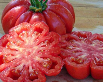 NEW! Mushroom Basket Tomato Seeds, Heirloom, Non-GMO, Solanum Lycopersicum LY2425