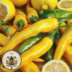 May include: A close-up of yellow chili peppers and lemons. The peppers are bright yellow and have a glossy finish. The lemons are also yellow and have a slightly textured surface. The image is a still life and is likely used for a product listing for seeds or plants.