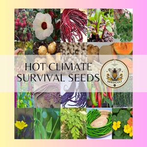 HOT CLIMATE Survival Seed Kit over 1,600 seeds in Resealable Mylar with Oxygen pack and Dwarf Moringa, Fl, Tx, La, Ca, Az, Nv, Hi