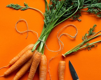 May include: A bunch of fresh carrots with green tops tied together with twine, arranged on an orange background with a knife and a single carrot.