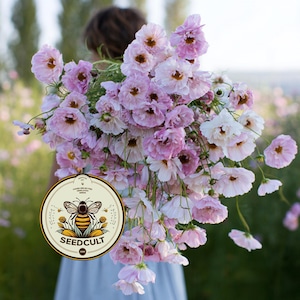 May include: A large bouquet of ruffled light pink and white cosmos flowers with yellow centres. A circular logo in the bottom left corner features a bee illustration and the text SEEDCULT, along with the words HAND-SELECTED HEIRLOOM SEEDS.