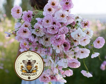 NEW! Cupcake Cosmos Seeds Mix, Blush Pink and White, Cups and Saucers, Double Pom Pom Blooms, Cottage Garden Annual, All Zones, CO0225