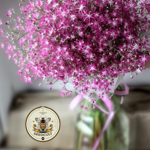 May include: A bouquet of pink baby's breath flowers in a clear glass vase, tied with a pink ribbon. The flowers have small, delicate blooms. A circular logo with a bee and the text "SEEDCULT" is visible.
