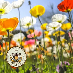 May include: A circular sticker featuring a bee illustration and the text SEEDCULT, positioned over a field of colorful poppies in shades of orange, yellow, white, and red against a bright blue sky. The sticker includes the text HAND-SELECTED HEIRLOOM SEEDS.