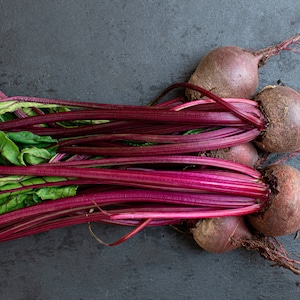 Bulk 200 Bulk Detroit Dark Red Beet, Heirloom Beta vulgaris BE922C