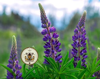 NEW! Wild Native Perennial Lupine Seeds, Lupine, Eastern and Central North American Native, Lupinus Perennis, LP0750