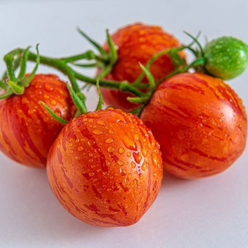 20 Tigerella Tomato Seeds Red and Orange Tiger Stripes - Etsy