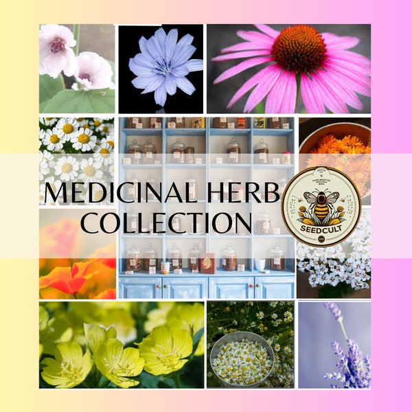 Medicinal Herb Seed Collection in Gift Box, Sampler Gift, 10 Individual Packs