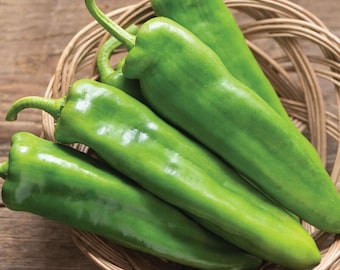 May include: A collection of fresh, vibrant green Anaheim peppers with smooth, elongated skins and curved stems, clustered together inside a woven wicker basket, showcasing their natural glossy texture and uniform bright green color.