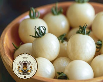 Puede incluir: Un cuenco de madera lleno de tomates cherry redondos de color crema pálido, cada uno con un pequeño tallo verde. Un logotipo circular con una ilustración de una abeja y el texto SEEDCULT se encuentra en la esquina inferior izquierda.