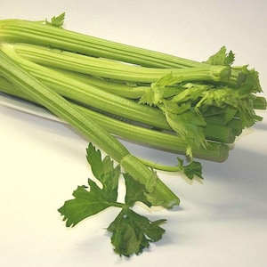 3000 Bulk Tall Utah Celery Seeds, Heirloom AP013M