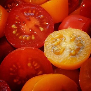 May include: Close-up of halved red and yellow tomatoes. The tomatoes are ripe and juicy, with visible seeds and a vibrant color palette. The image highlights the textures and freshness of the produce.
