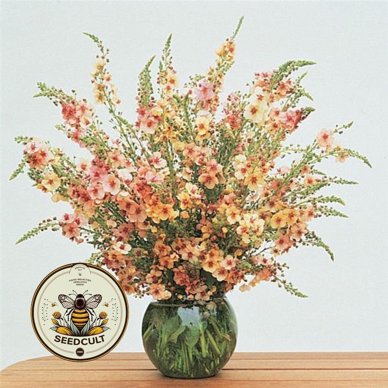 May include: A vibrant bouquet of peach, pink, and yellow flowers in a clear, round glass vase. The vase sits on a wooden surface. A circular logo with a bee and the text "SEEDCULT" is in the foreground.