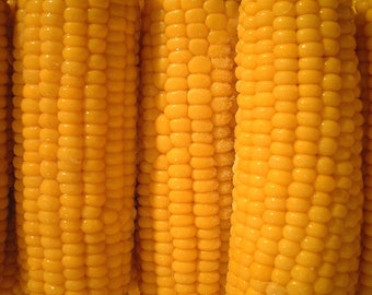 Puede incluir: Primer plano de varias mazorcas de maíz, mostrando los granos en detalle. El maíz es amarillo y parece estar cocido.