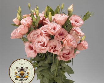 NEW! Super Magic Apricot Lisianthus, Cut Flowers, Eustoma Grandiflorum, EU5420P