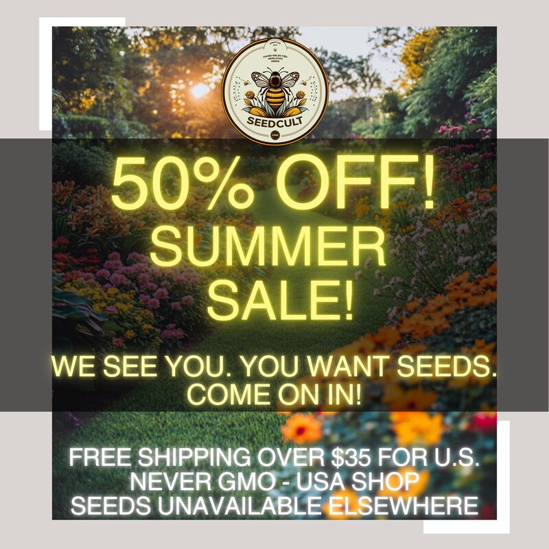 Coupon Code Free Shipping Etsy