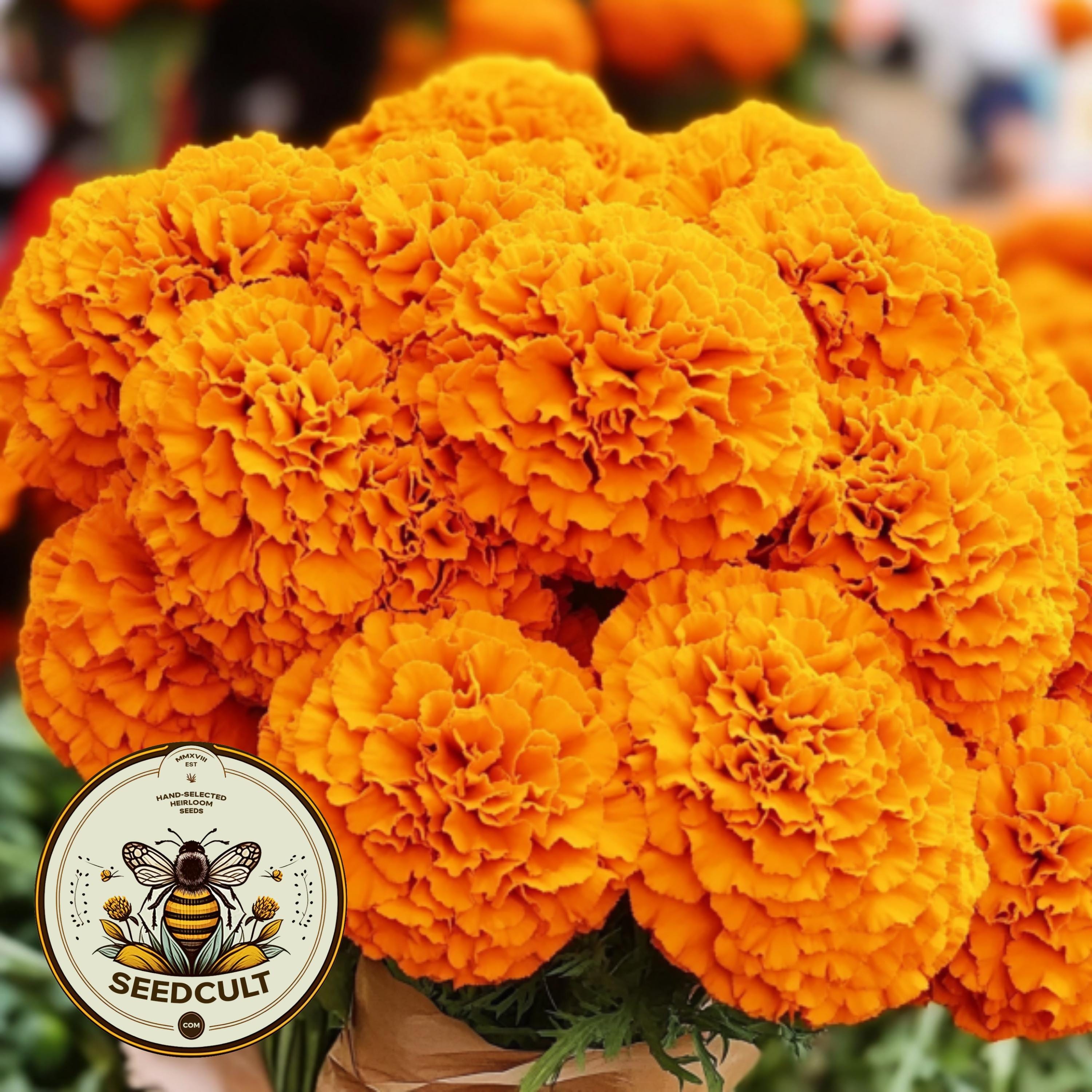 Phool Flower - Etsy