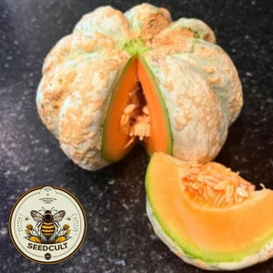 May include: A whole, partially sliced cantaloupe with a vibrant orange interior and a light green rind. A slice of the cantaloupe sits beside the main fruit. The image includes a circular logo with a bee and the text "SEEDCULT".