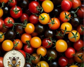 NEW! Rainbow Mix Cherry Tomato Seeds, Red, Orange, Yellow, Black, Solanum Lycopersicum LY2825