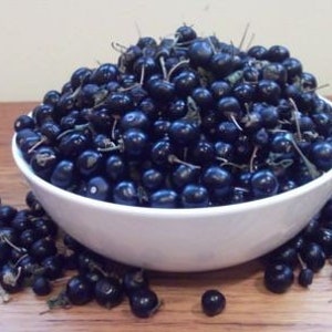 May include: A white bowl filled with dark blue berries, with more berries scattered on a wooden surface.