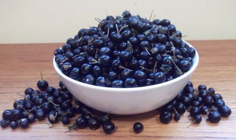 May include: A white bowl filled with dark blue berries, with more berries scattered on a wooden surface.