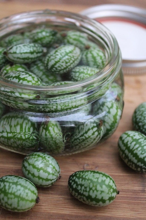 H-E-B Organics Fresh Mini Seedless Cucumbers