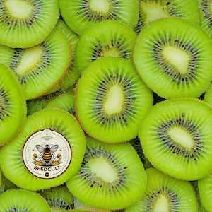 Zone 9 Tropical Fruit - Etsy Canada