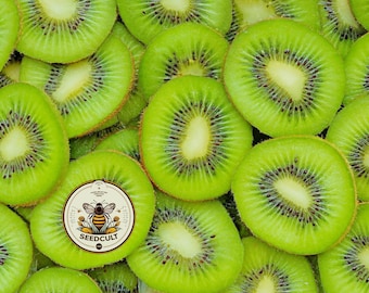 NEW! Kiwi Seeds, 100 Seeds, Actinidia Chinensis, AC701C