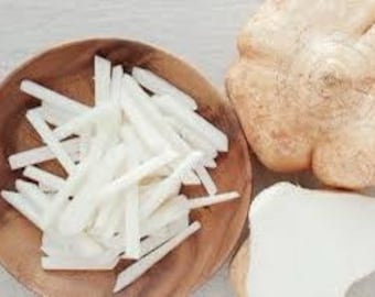 True Jicama Seeds, Mexican Yam, Pachyrhizus erosus PA0125