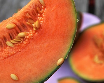 Hot Climate Cantaloupe Seeds, Hale's Best, Nearly 100% Resistance to Powdery Mildew! Heirloom Cucumis melo CU09