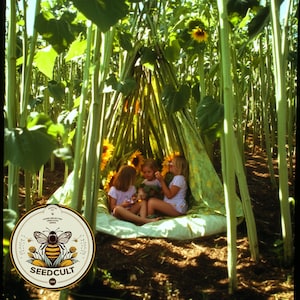 May include: Three children sit inside a teepee-like structure made of sunflower stalks in a field of sunflowers. The children are wearing casual clothing and are smiling. The teepee is covered with a patterned fabric.
