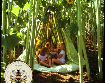 American Giant Sunflower Seeds, Huge Sunflower, Helianthus Annuum HA2320
