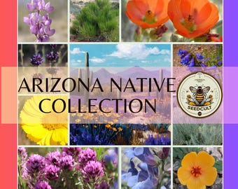 NEW! Arizona Native Seed Collection, 2,000+ Seeds, Gift Box, 18 Individual packs, Free Shipping