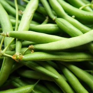 May include: A close-up of a bunch of fresh green string beans. The beans are arranged in a random pattern, with some of the beans overlapping each other.